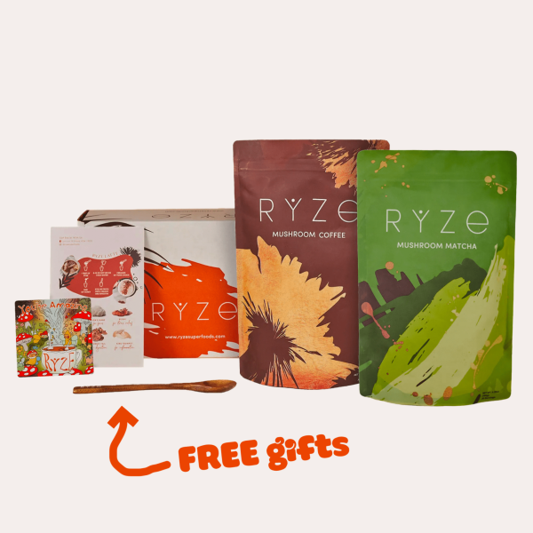 All Day Energy Bundle (Mushroom Coffee & Mushroom Matcha) - Image 2