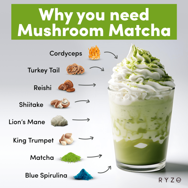 Day + Night Bundle (Mushroom Matcha + Mushroom Cocoa) - Image 2
