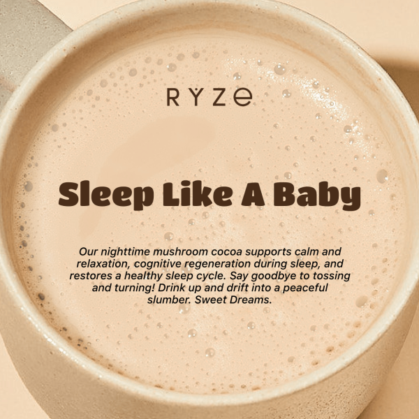 Day + Night Bundle (Mushroom Matcha + Mushroom Cocoa) - Image 5