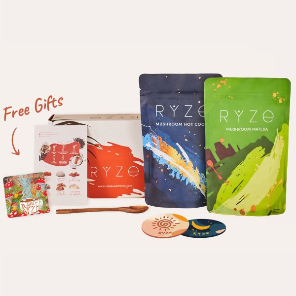 Day + Night Bundle (Mushroom Matcha + Mushroom Cocoa) - Image 6