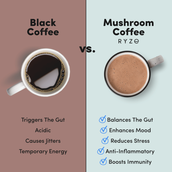 RYZE Mushroom Coffee - with 6 Organic Adaptogenic Mushrooms Grown in USA and High Potency - Image 6